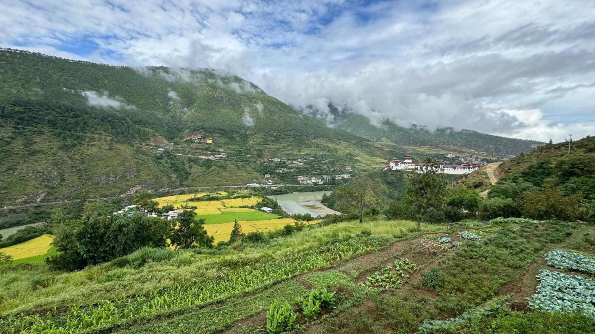 Wangdue Ecolodge Wangdue Phodrang Luaran gambar