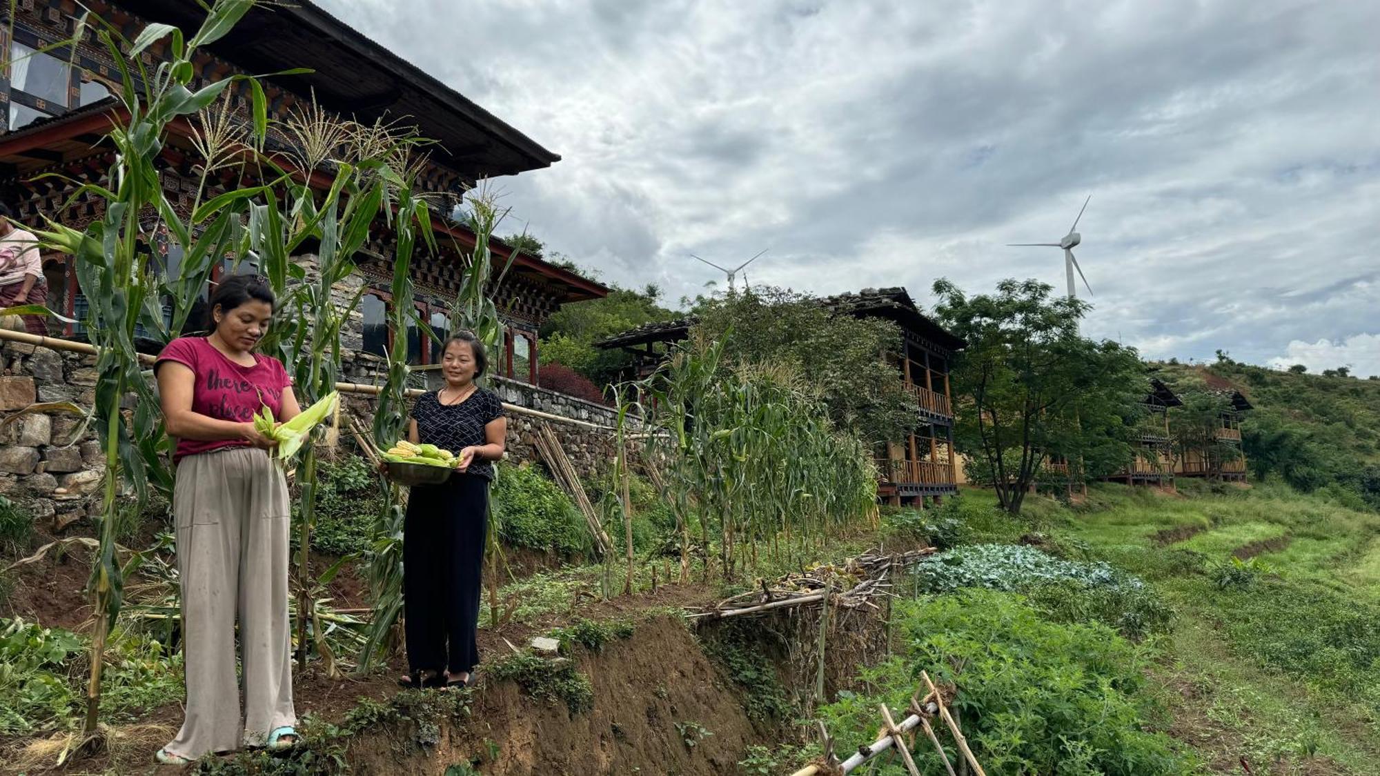 Wangdue Ecolodge Wangdue Phodrang Luaran gambar