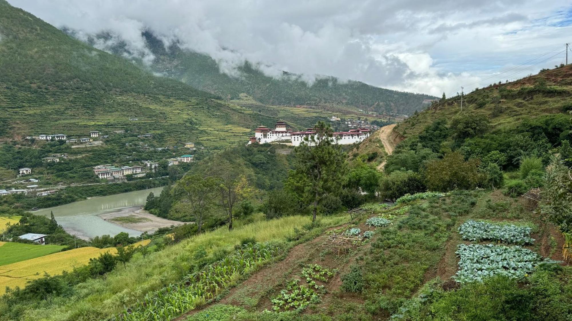 Wangdue Ecolodge Wangdue Phodrang Luaran gambar
