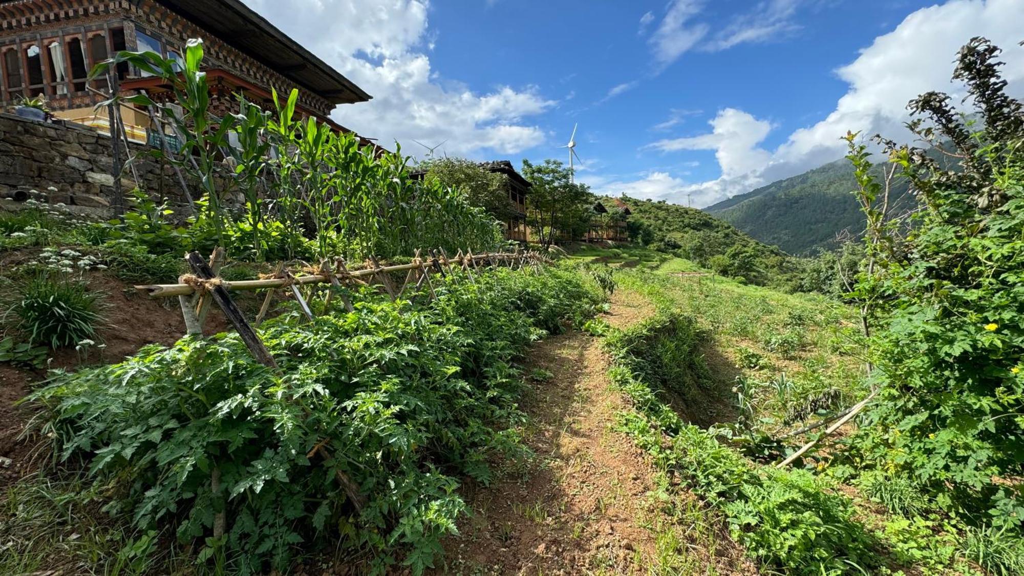 Wangdue Ecolodge Wangdue Phodrang Luaran gambar